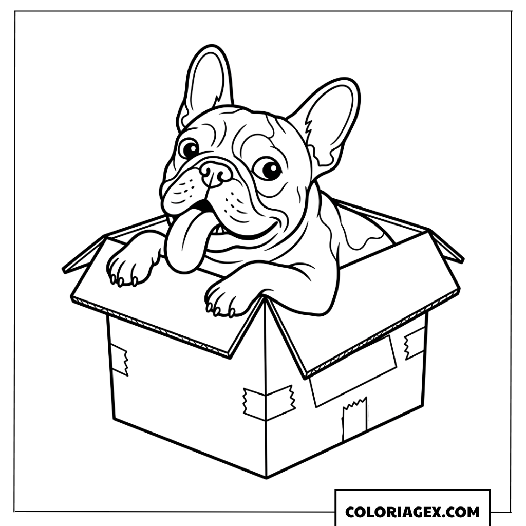 Dessin d'un mignon Bouledogue Français dans une boîte en carton à colorier