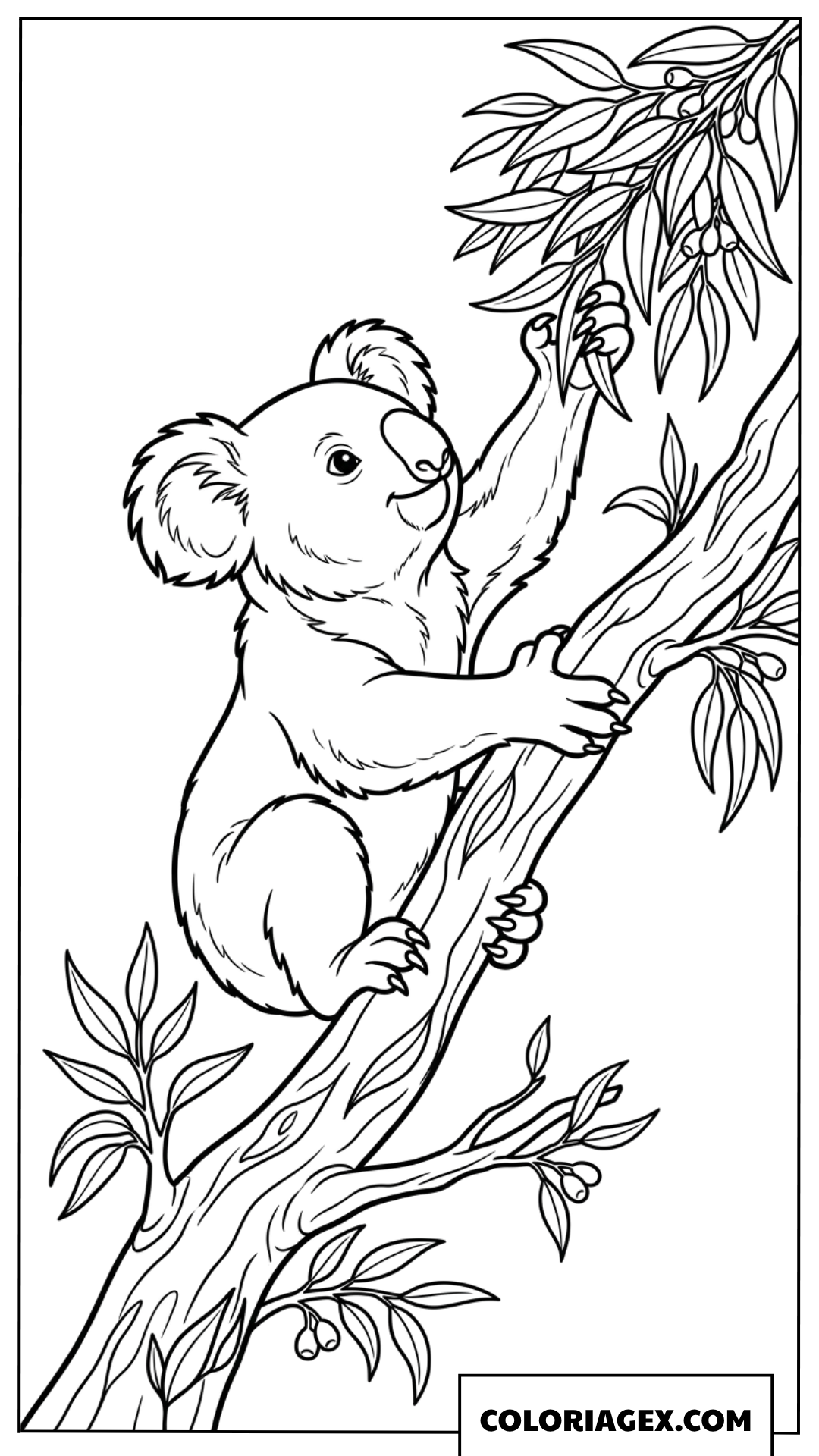 Dessin dun petit koala curieux sur son arbre