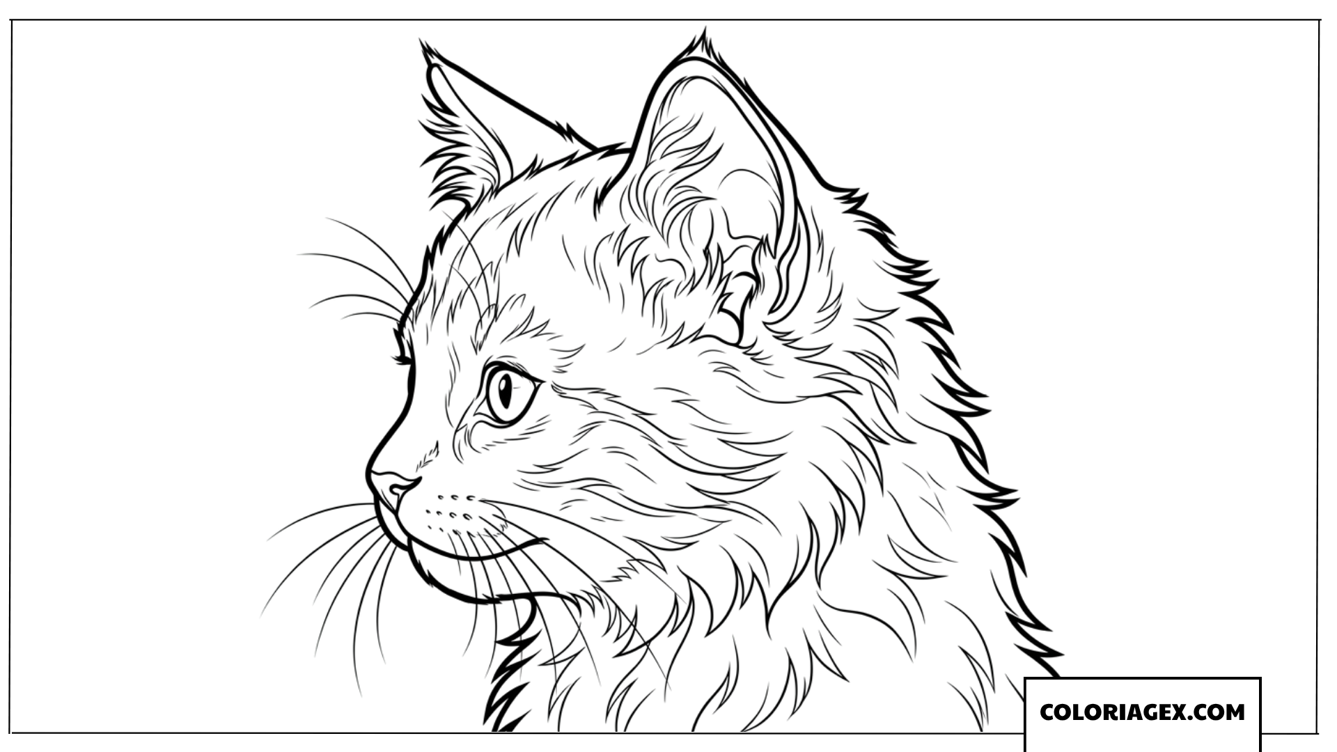 Dessin d'un portrait de chaton de profil très captivant