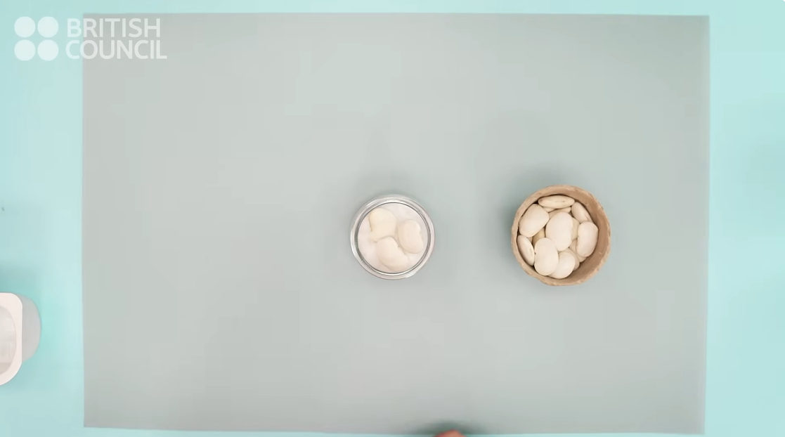 Faire Pousser des Haricots (3)