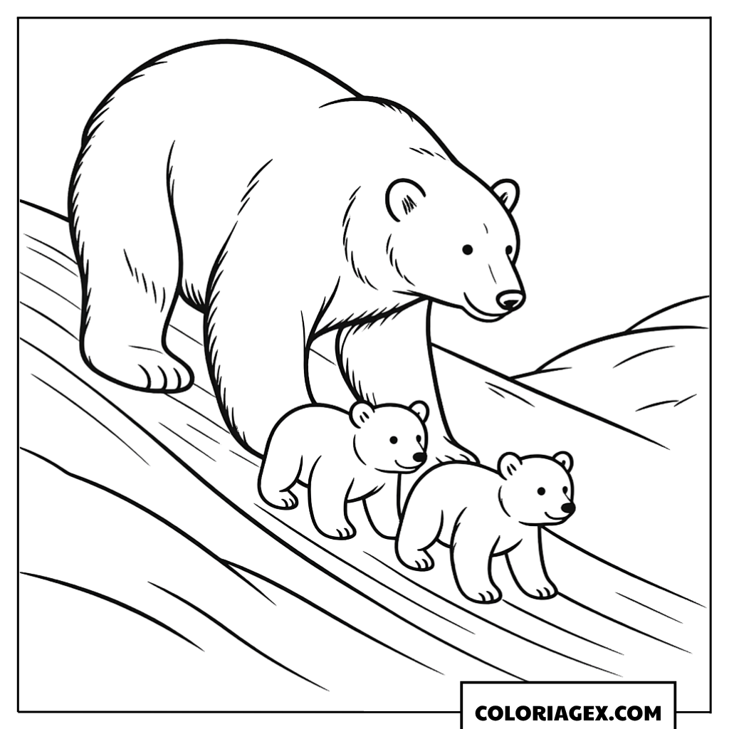 Famille d’ours polaires marchant à colorier