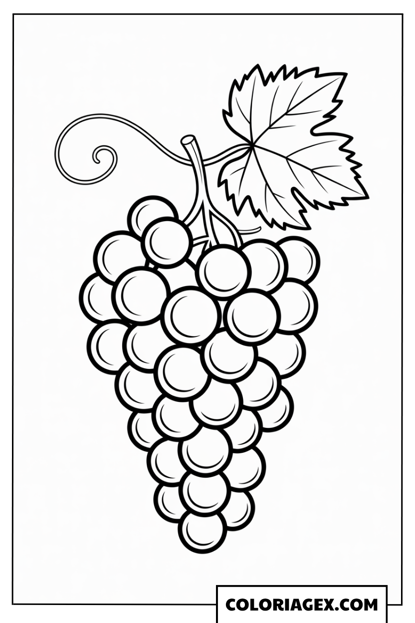 Grappe de raisins coloriage