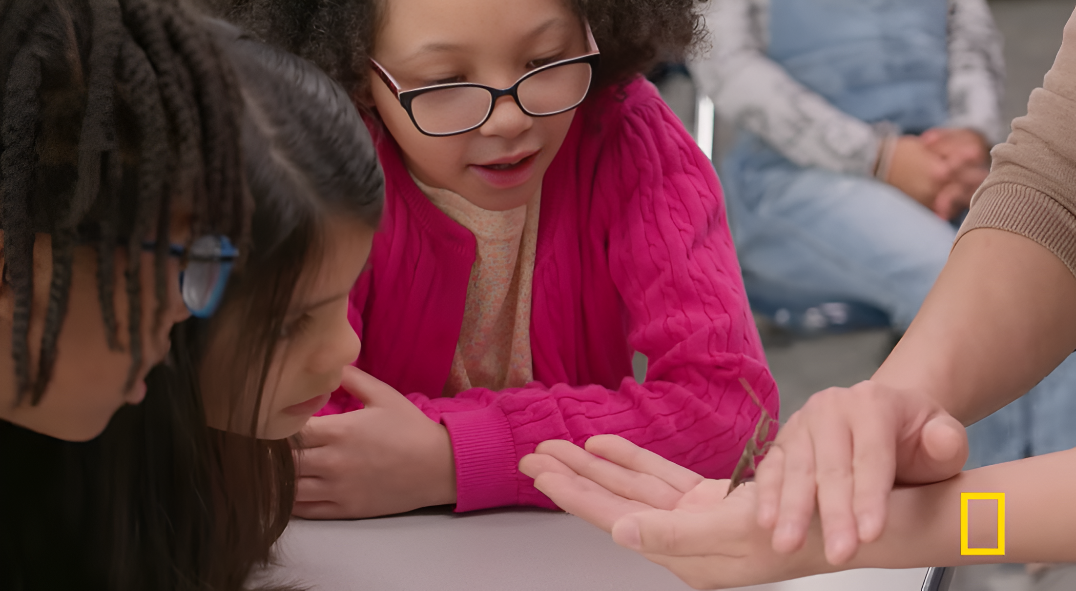 La réaction des enfants face aux insectes (3)