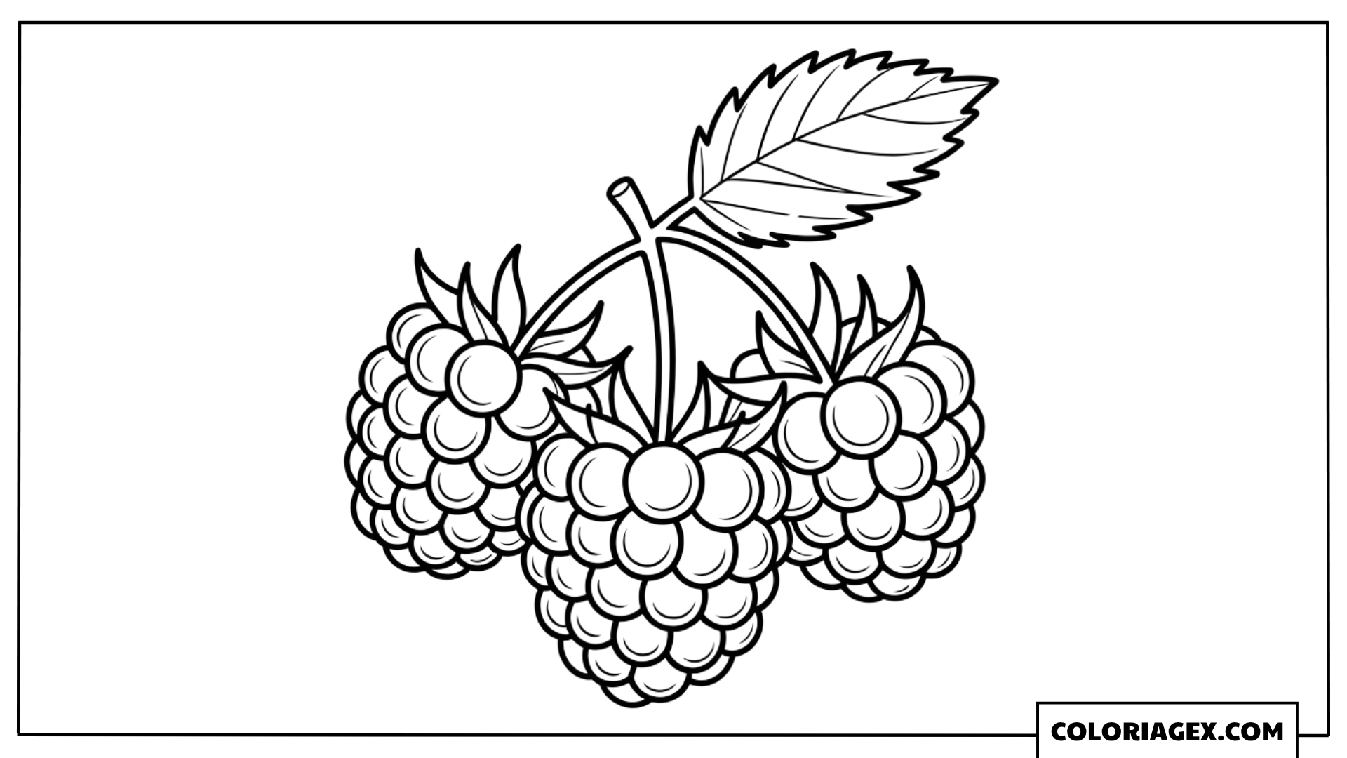 Mûres ou framboises coloriage