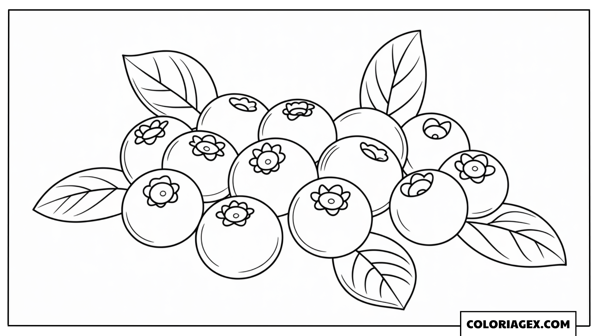 Myrtilles ou groseilles coloriage