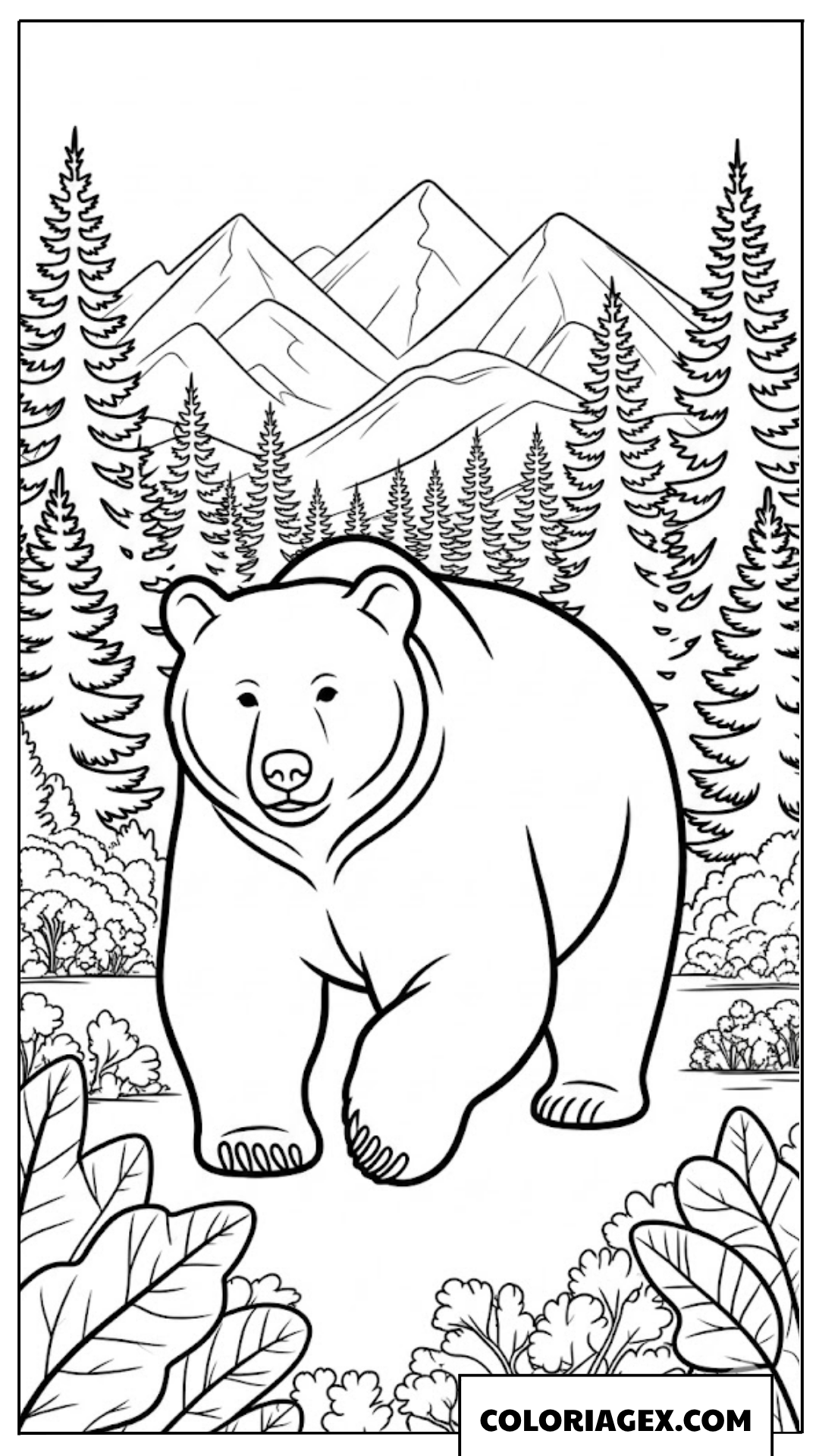 Ours brun dans la forêt à colorier