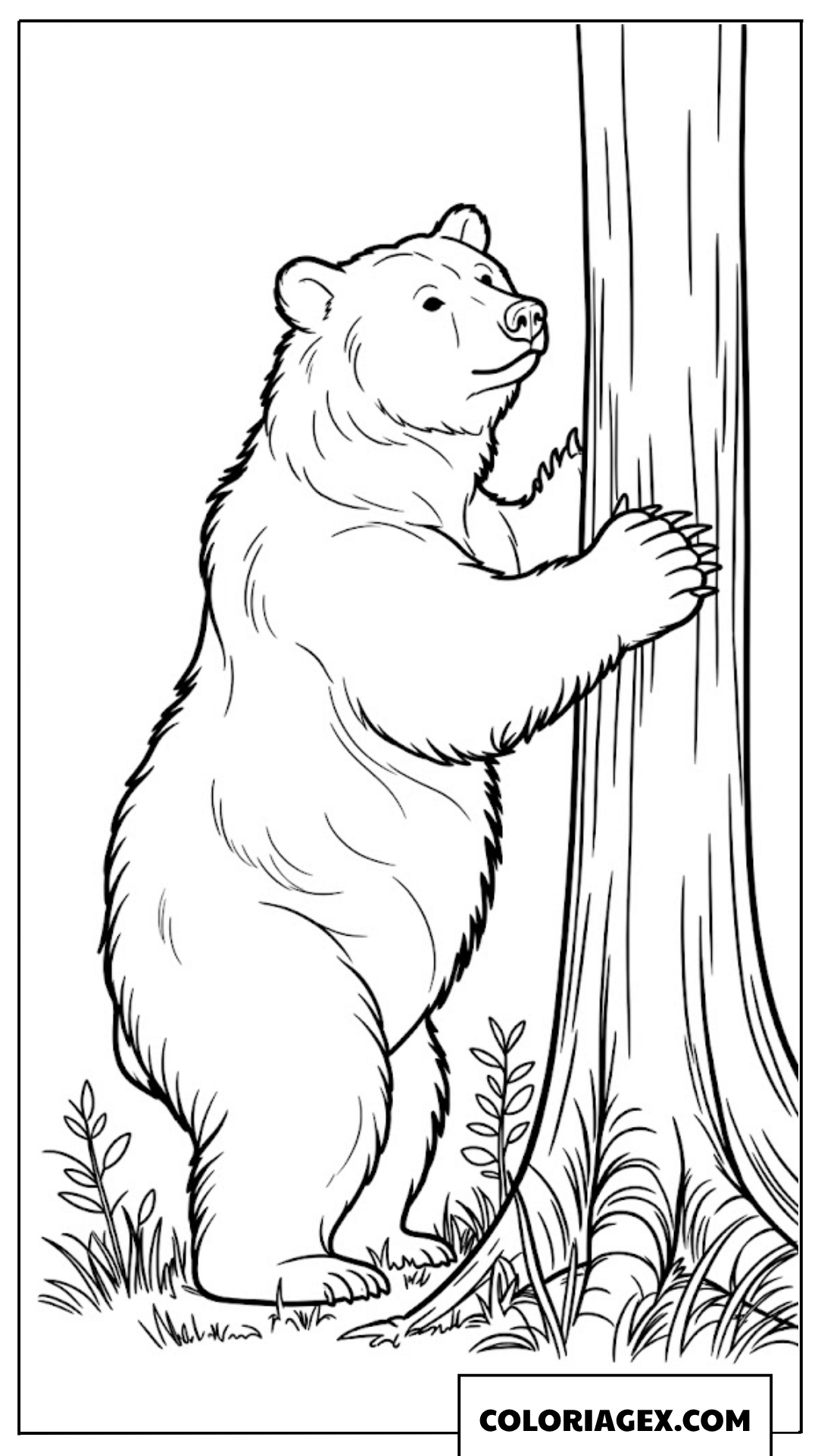 Ours grimpant à un arbre à colorier