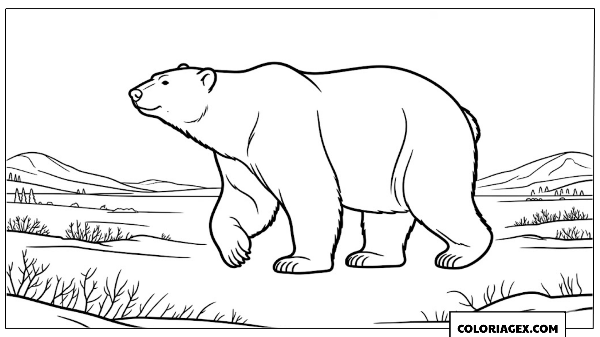 Ours polaire marchant dans la nature à colorier