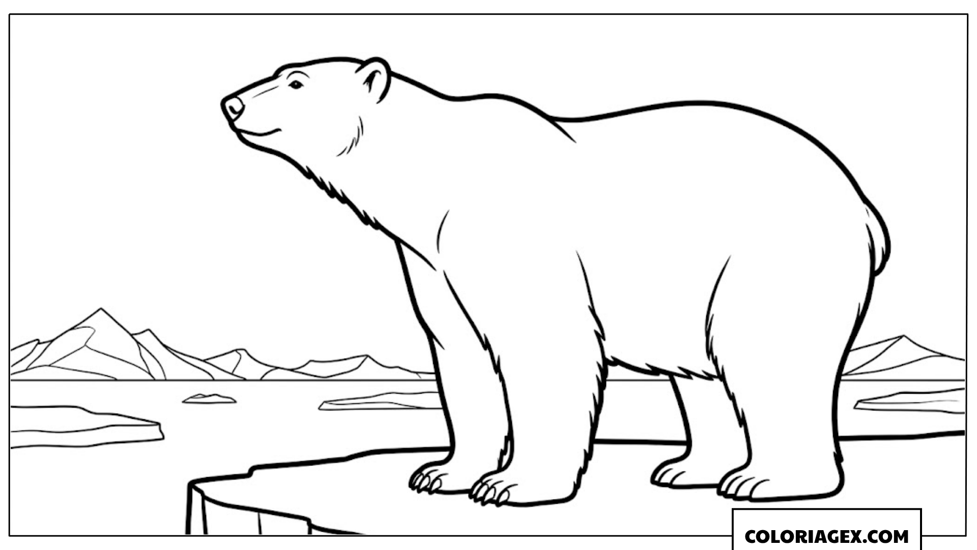Ours polaire sur la banquise à colorier