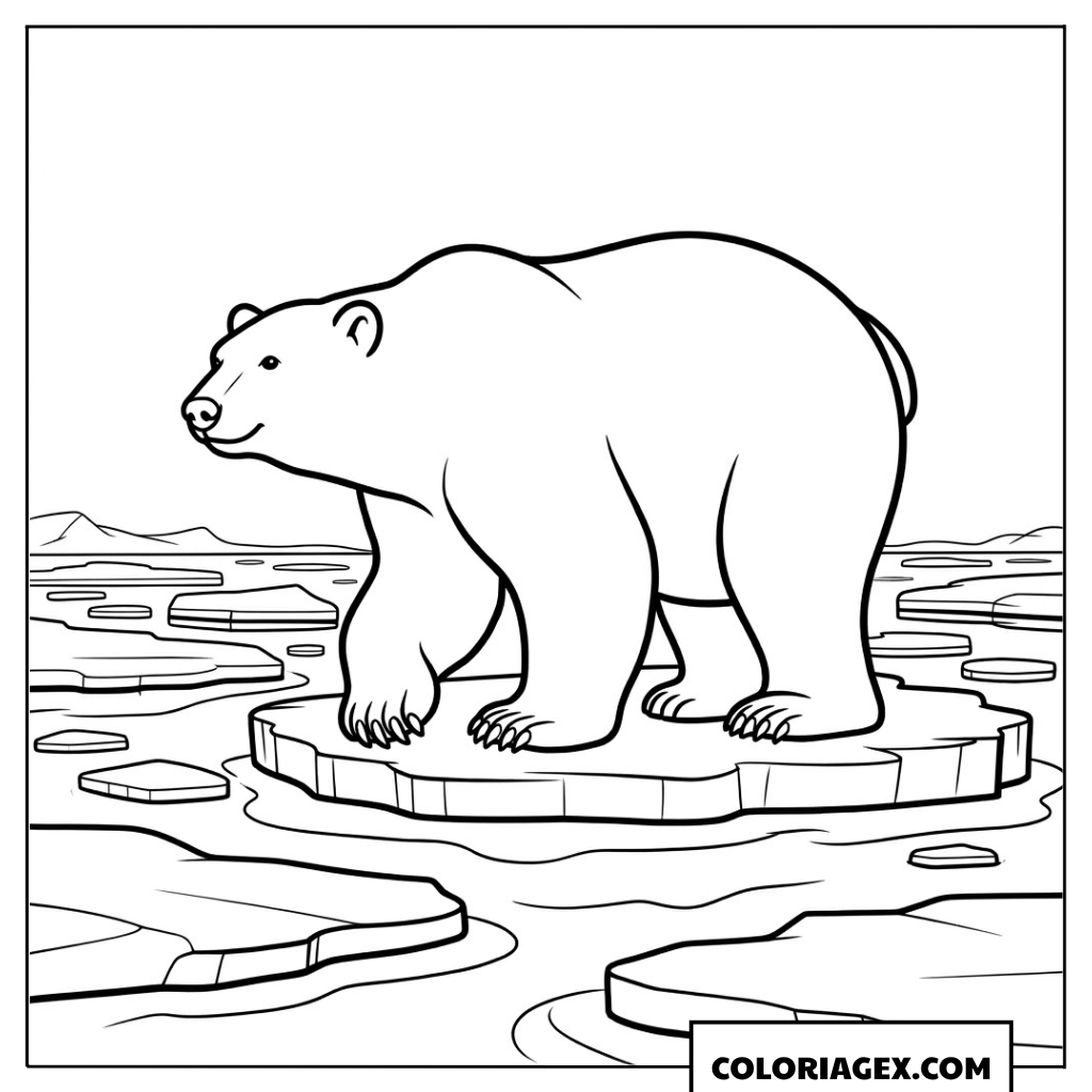 Ours polaire sur un iceberg à colorier