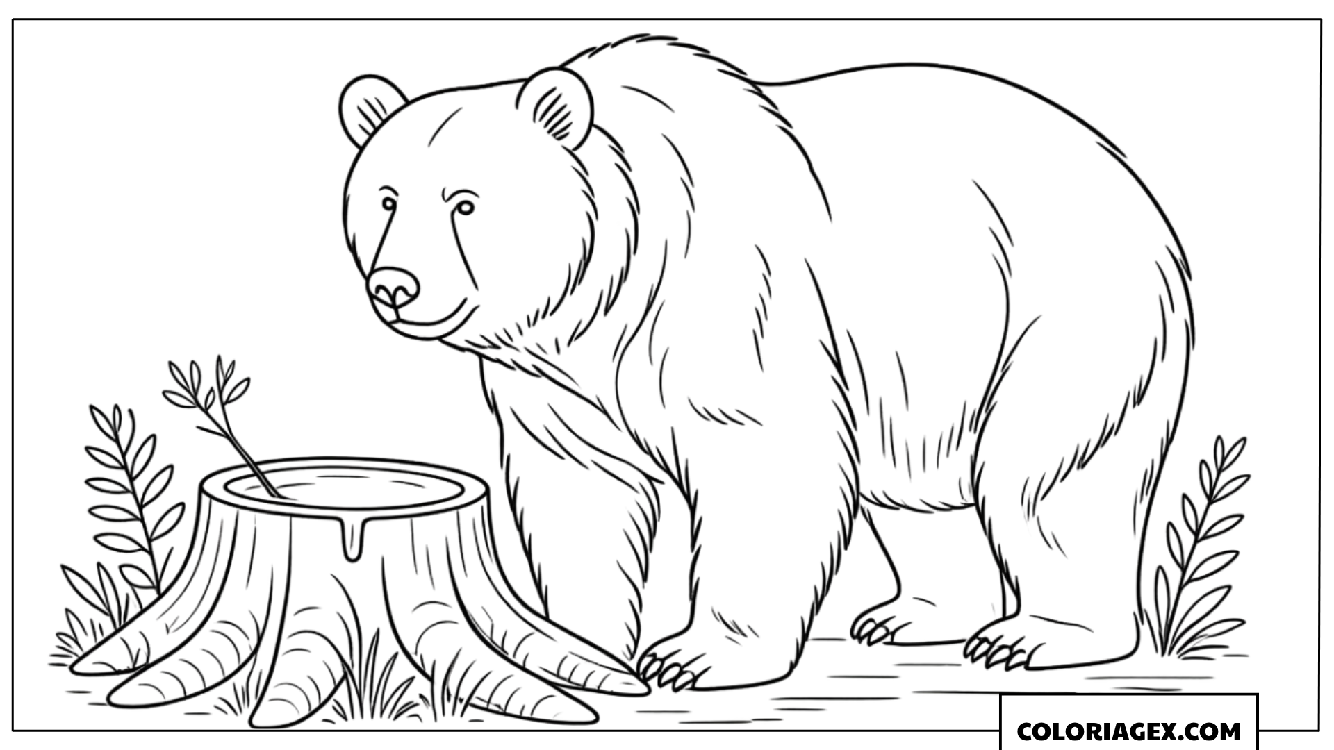 Ours près d’un tronc avec miel à colorier