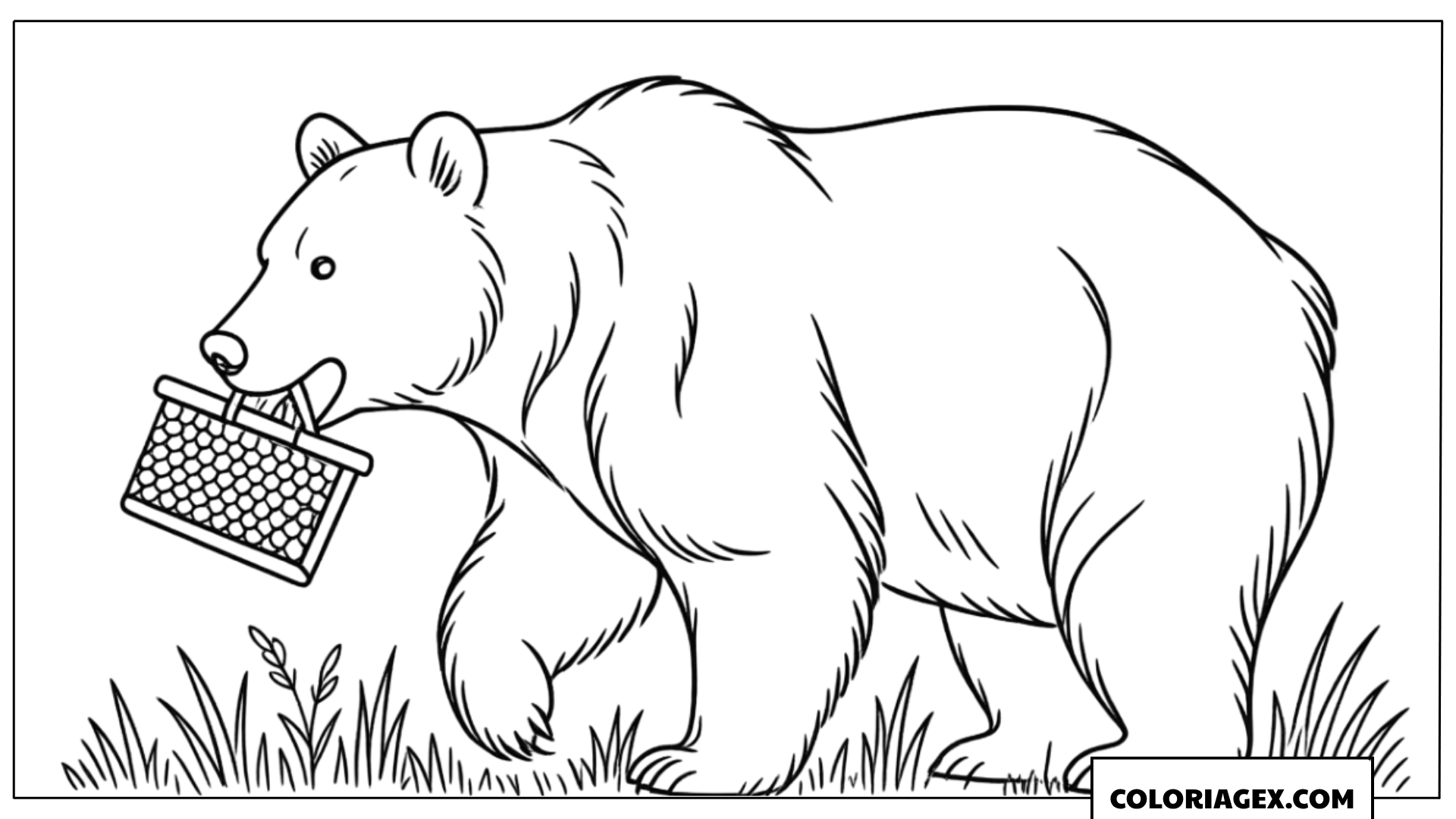Ours réaliste avec rayon de miel à colorier