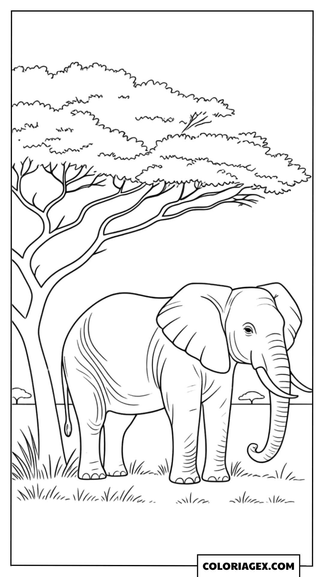 Page de coloriage d’un éléphanteau sous un arbre
