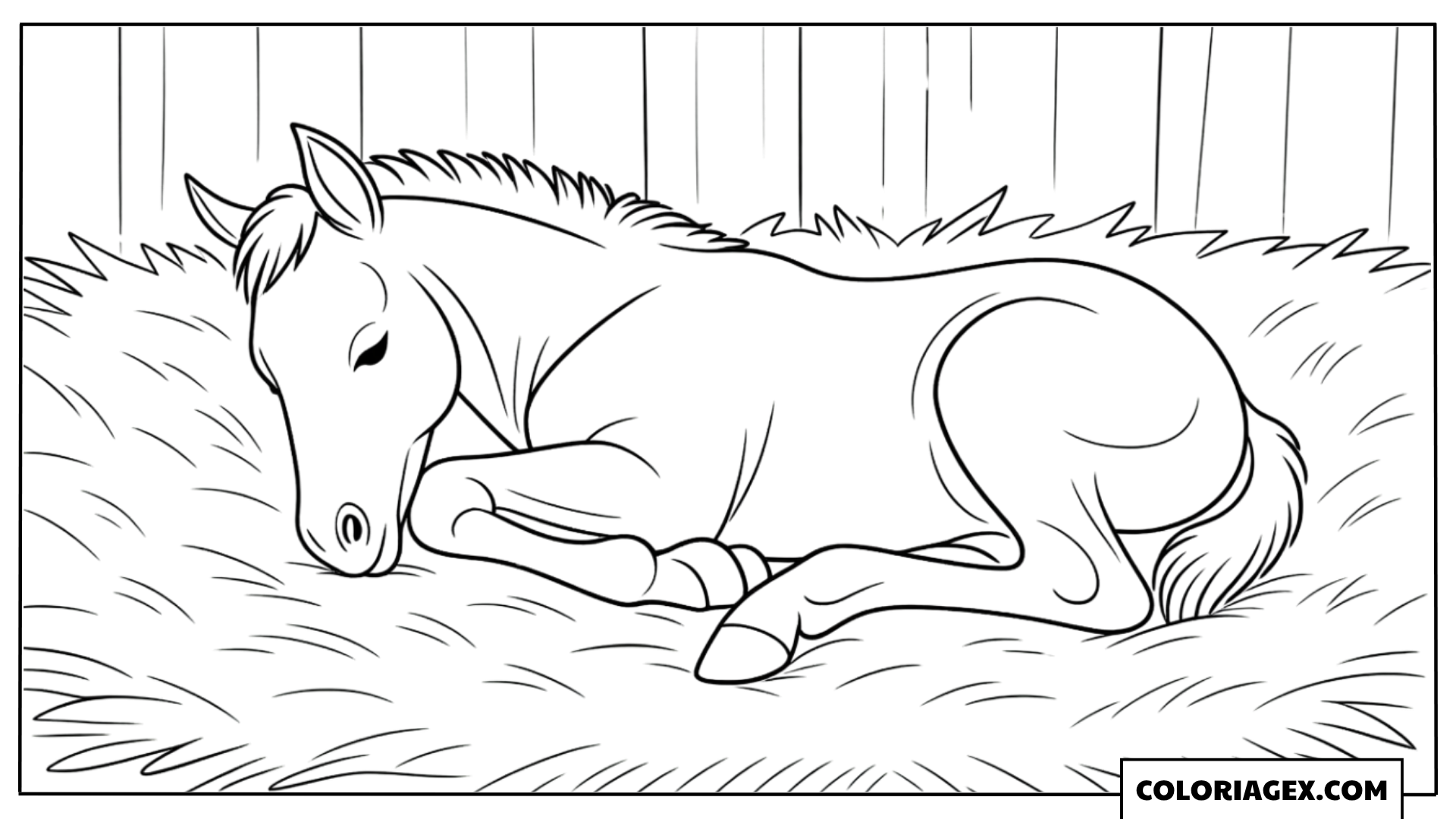 Poulain couché dans la paille à colorier