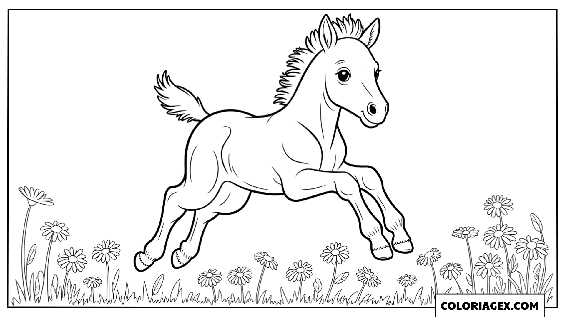 Poulain galopant dans les fleurs à colorier