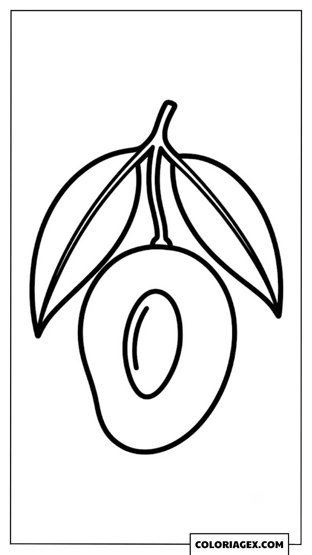 Prune ou abricot exotique coloriage