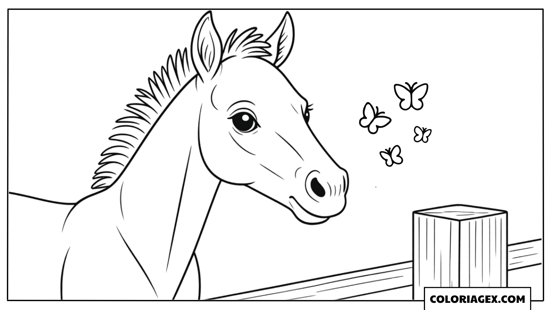 Tête de cheval mignon à colorier