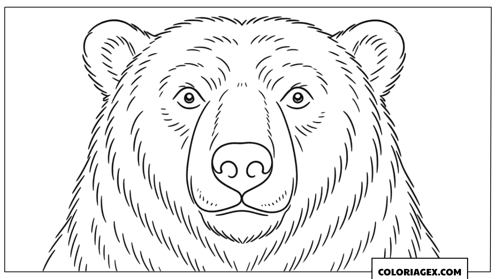 Tête d’ours polaire réaliste à colorier