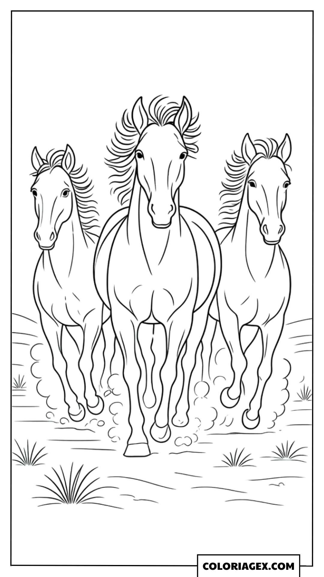 Trois chevaux au galop à colorier