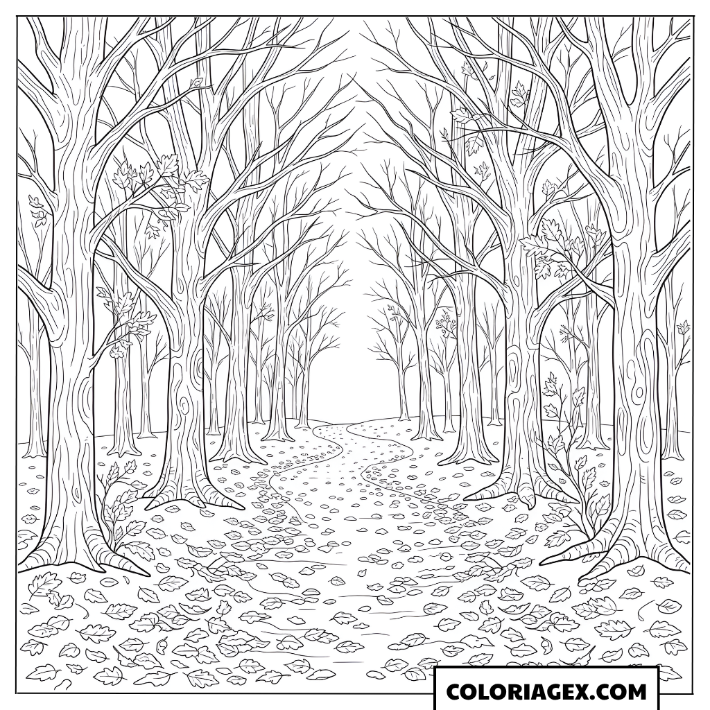 Coloriage Allée forestière bordée d’arbres