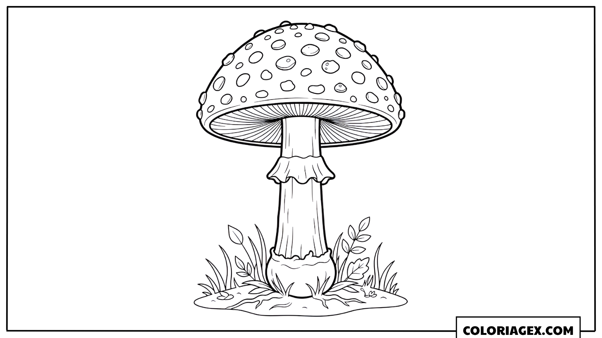 Coloriage Grand champignon vénéneux