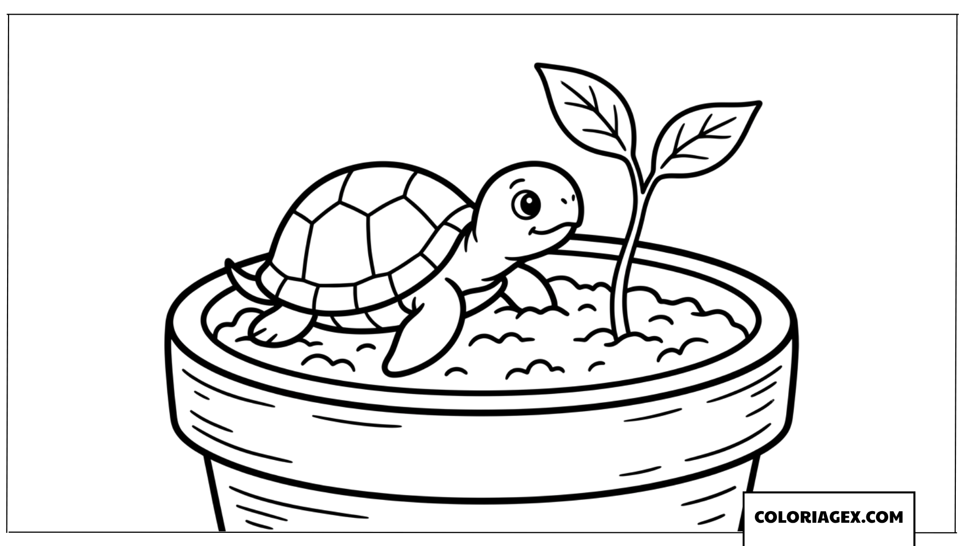Coloriage bebe tortue mignonne dans un pot de fleurs