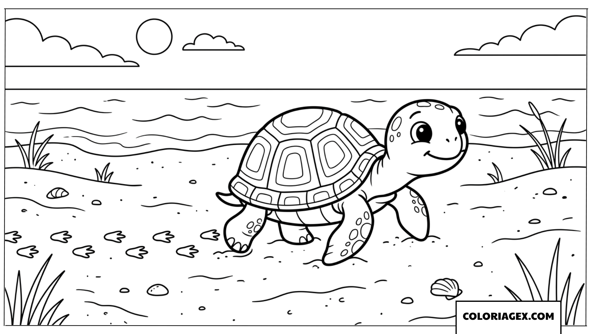 Coloriage bebe tortue qui marche sur la plage
