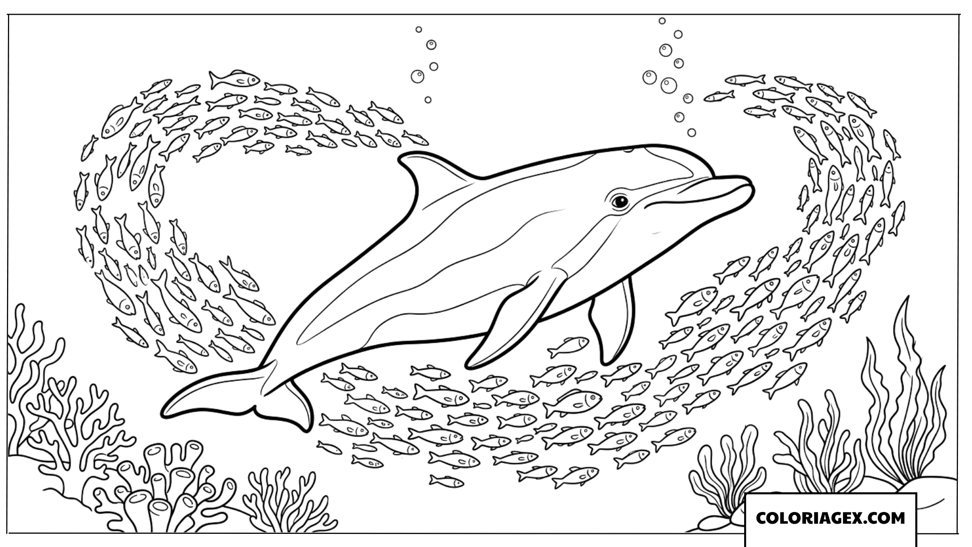Coloriage d un dauphin entoure de poissons tropicaux