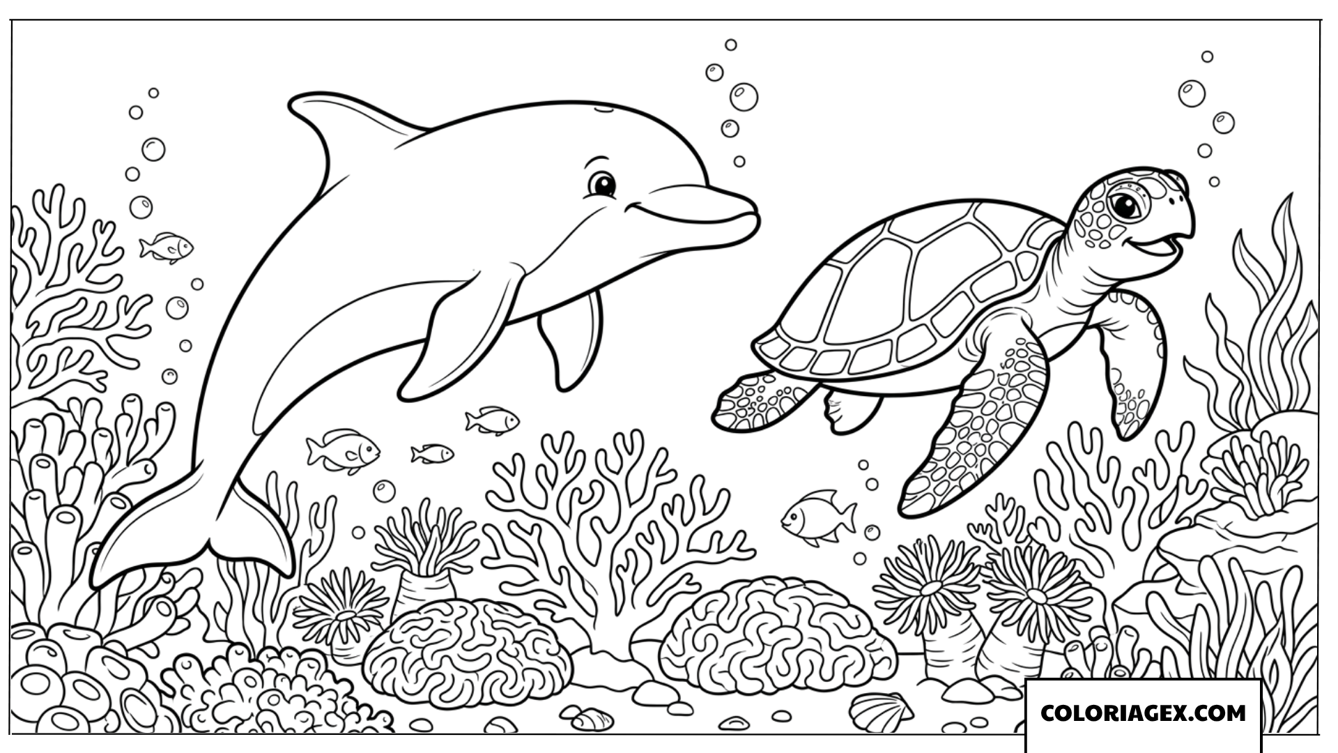 Coloriage d un dauphin et d une tortue marine