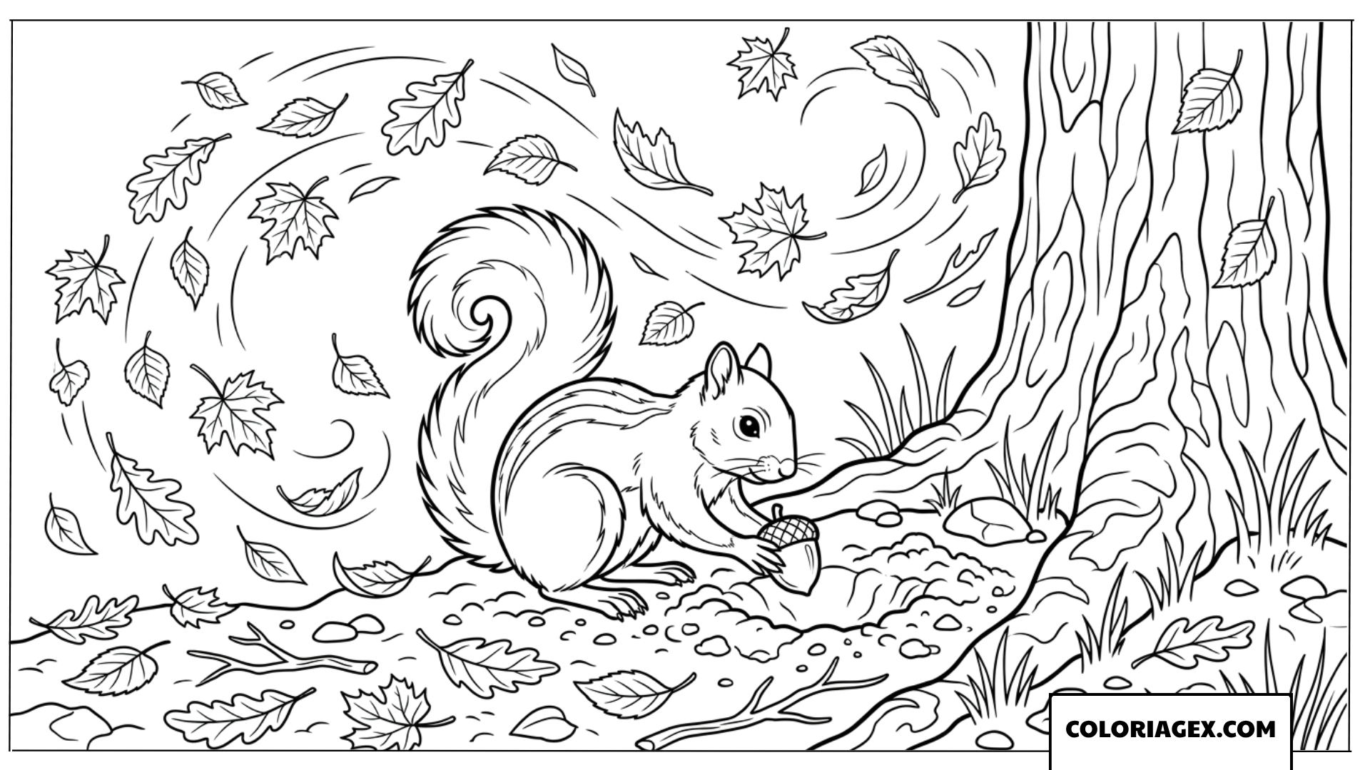 Coloriage d un ecureuil qui prepare ses provisions