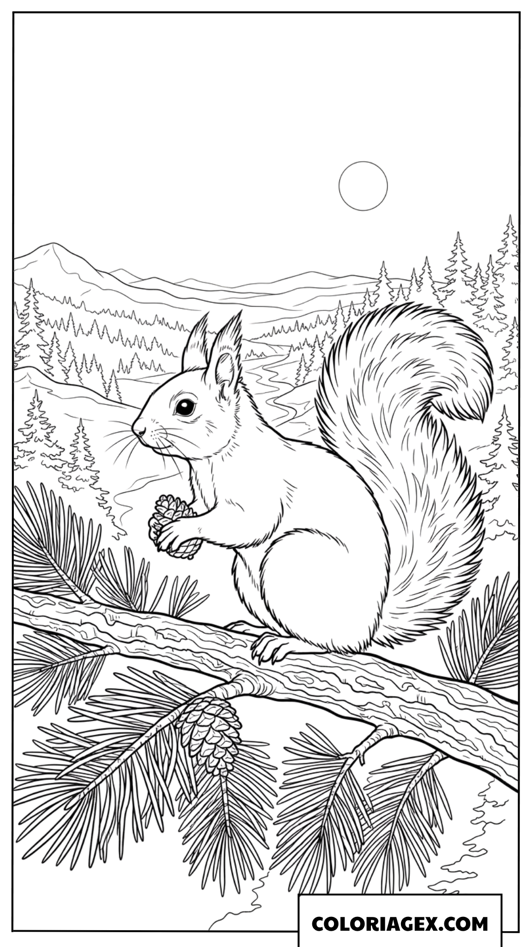 Coloriage d un ecureuil realiste sur une branche de pin
