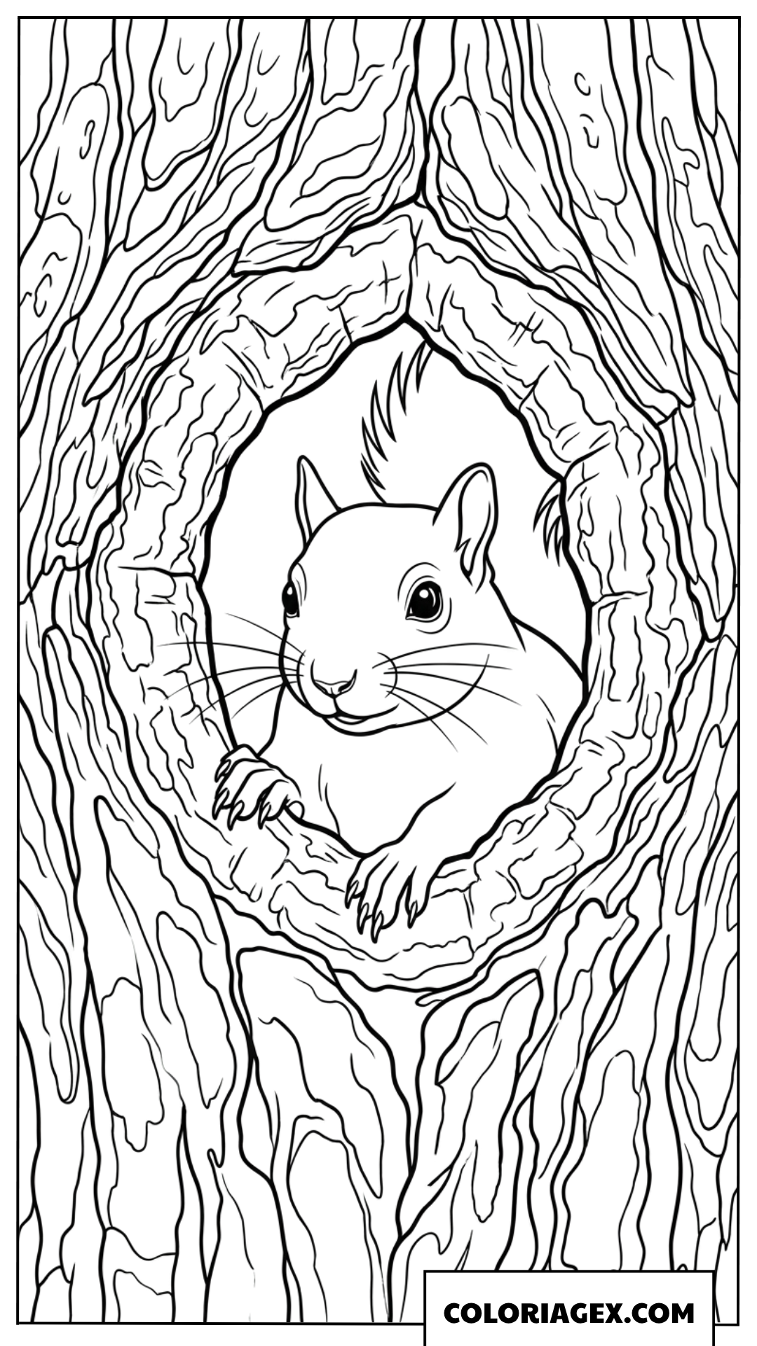 Coloriage d un petit ecureuil dans son nid