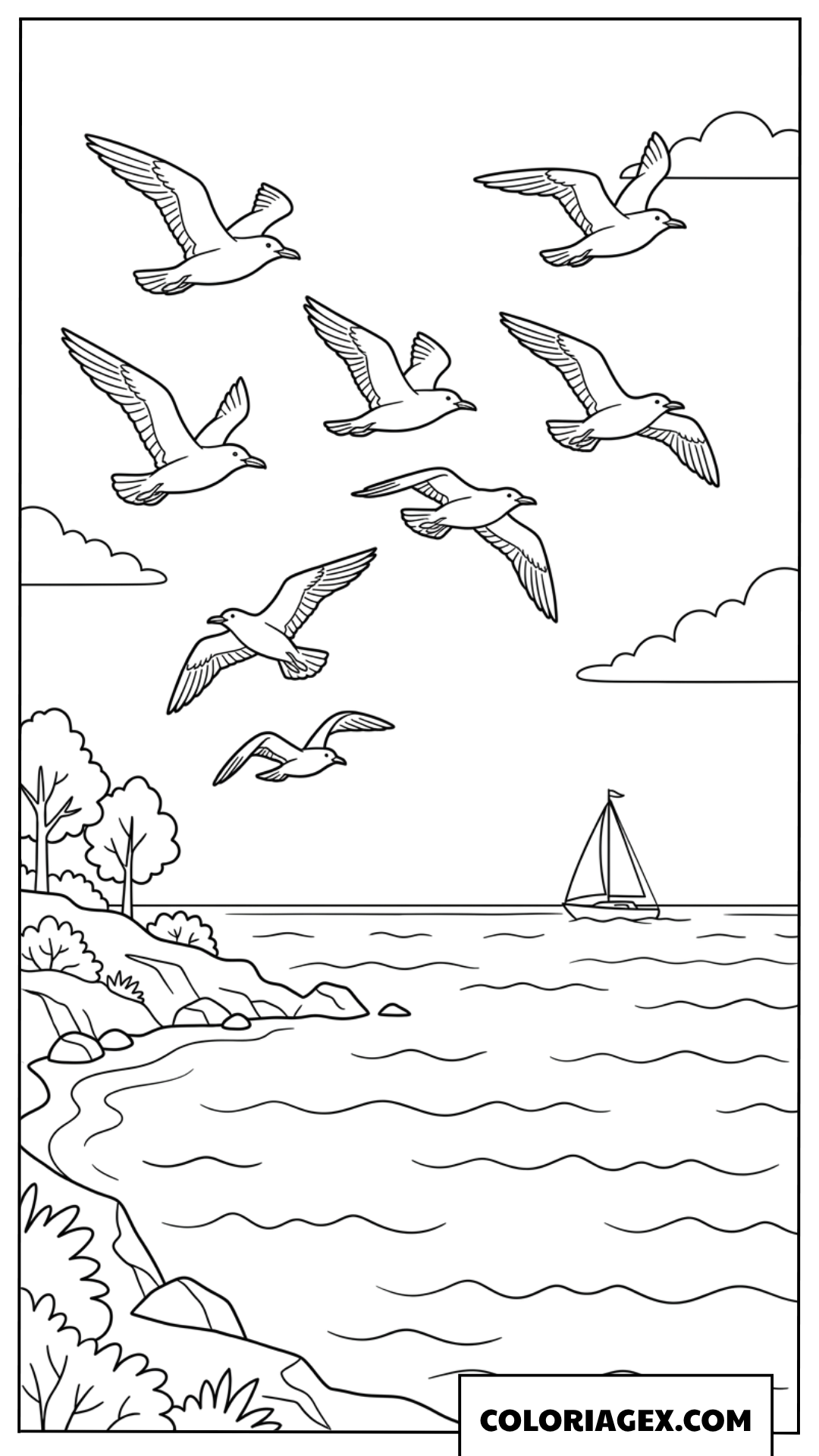 Coloriage d une mouette volant au dessus de la baie