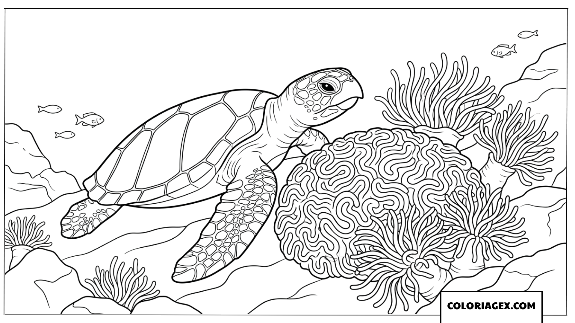 Coloriage d une tortue imbriquee sur le fond marin de l ocean