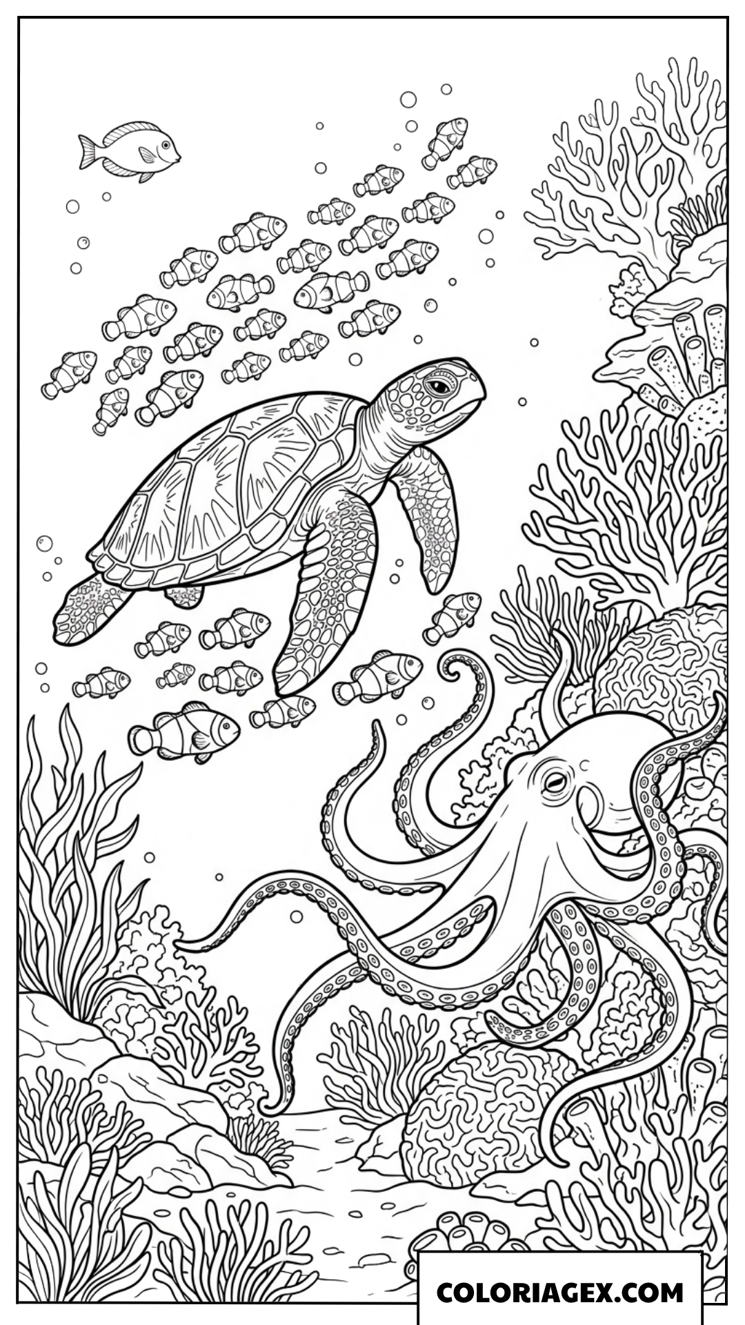 Coloriage d une tortue marine avec une pieuvre et des poissons