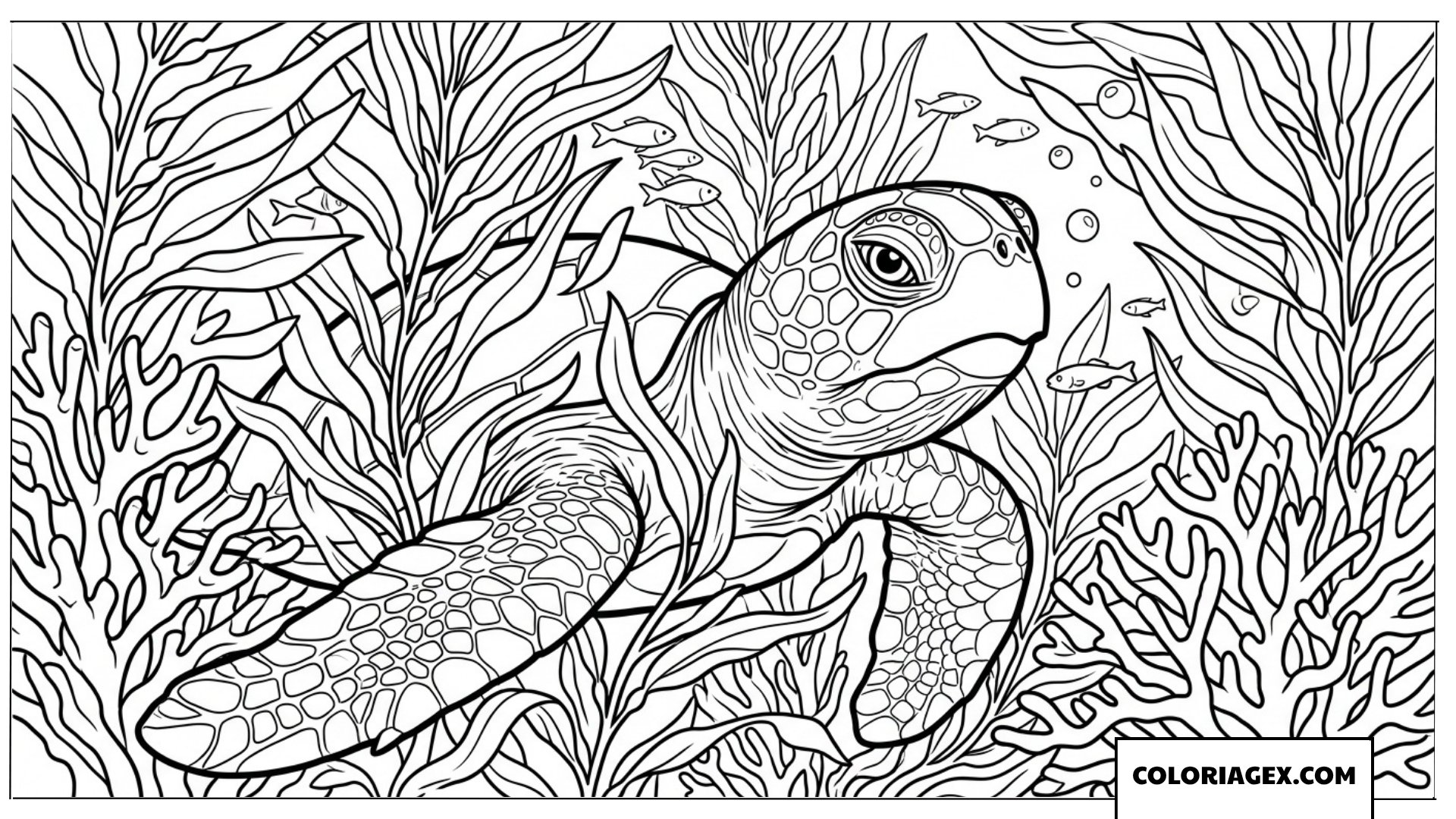 Coloriage d une tortue marine emergeant des algues de l ocean