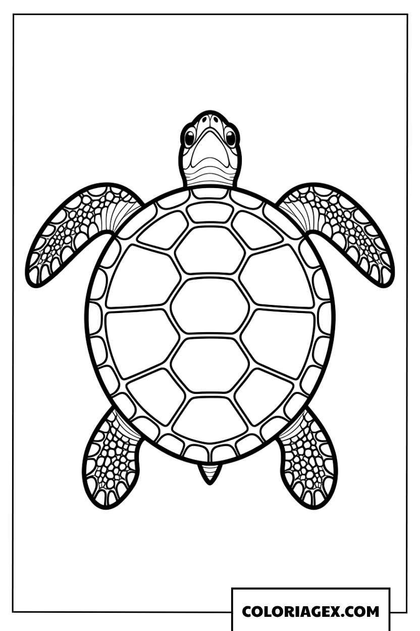 Coloriage d une tortue marine simple vue du dessus pour enfants
