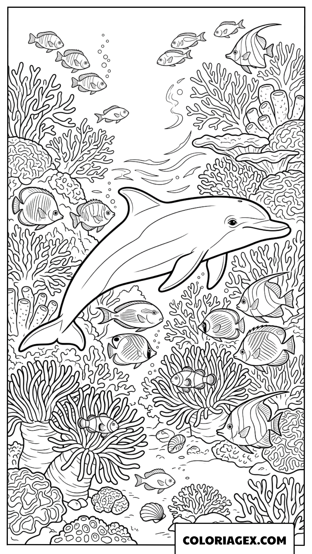Coloriage dauphin et petits poissons du recif corallien