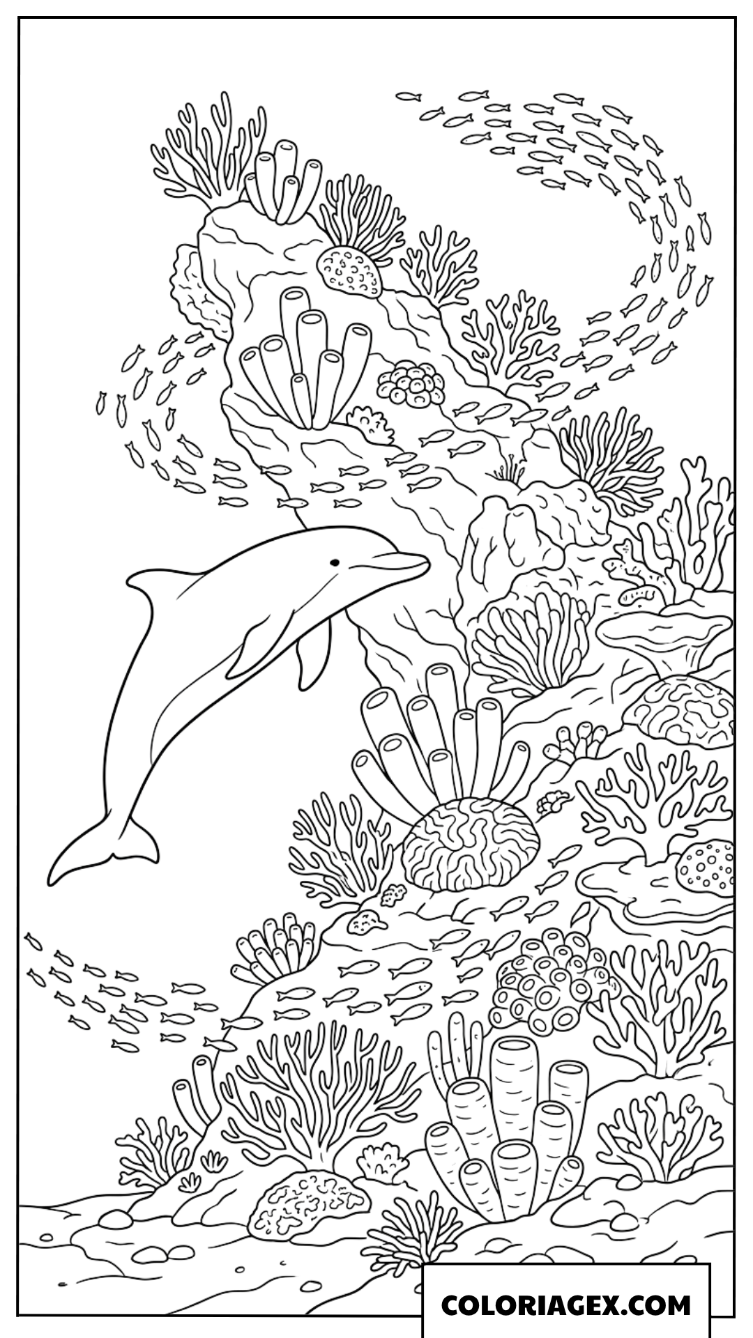 Coloriage dauphin glissant pres dun recif de corail