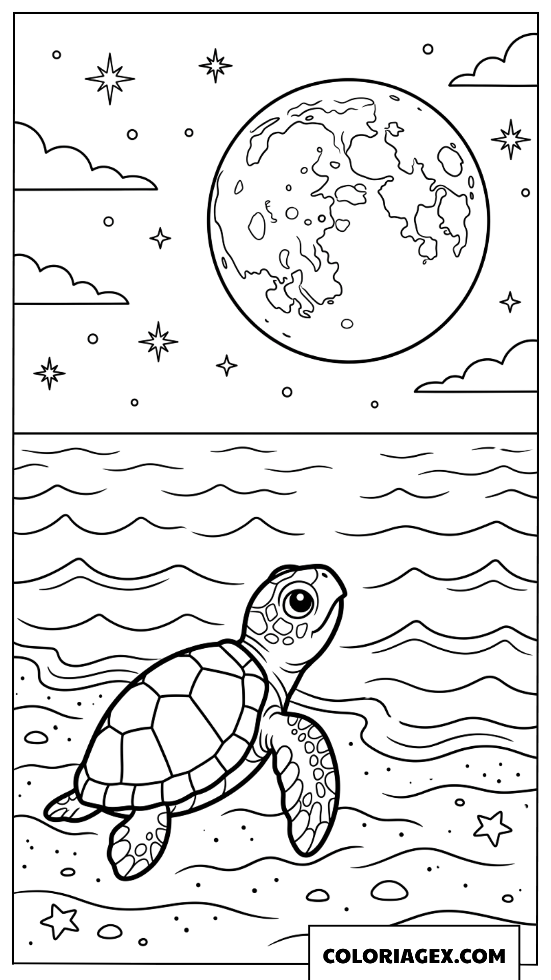 Coloriage de bebe tortue admirant la lune sur la plage la nuit