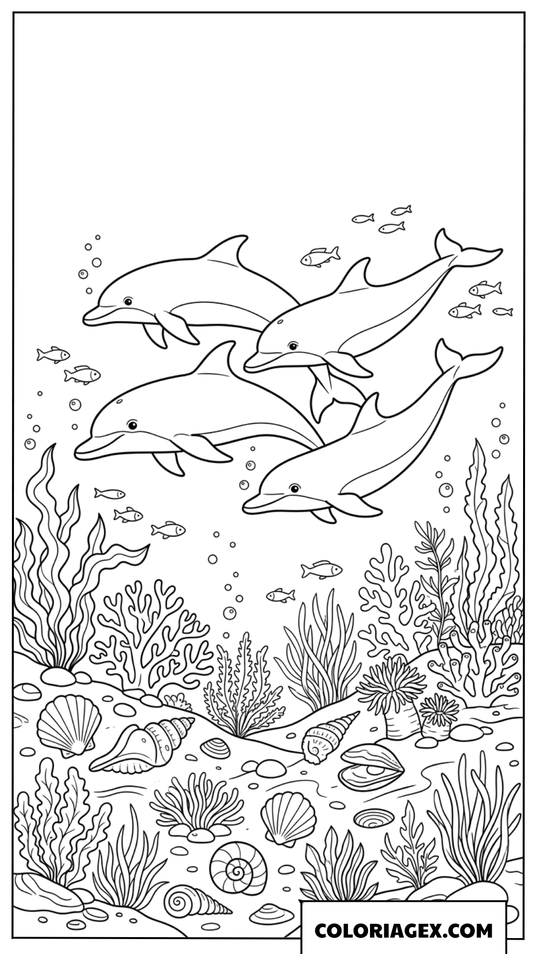 Coloriage de dauphins nageant au dessus d'un fond marin riche