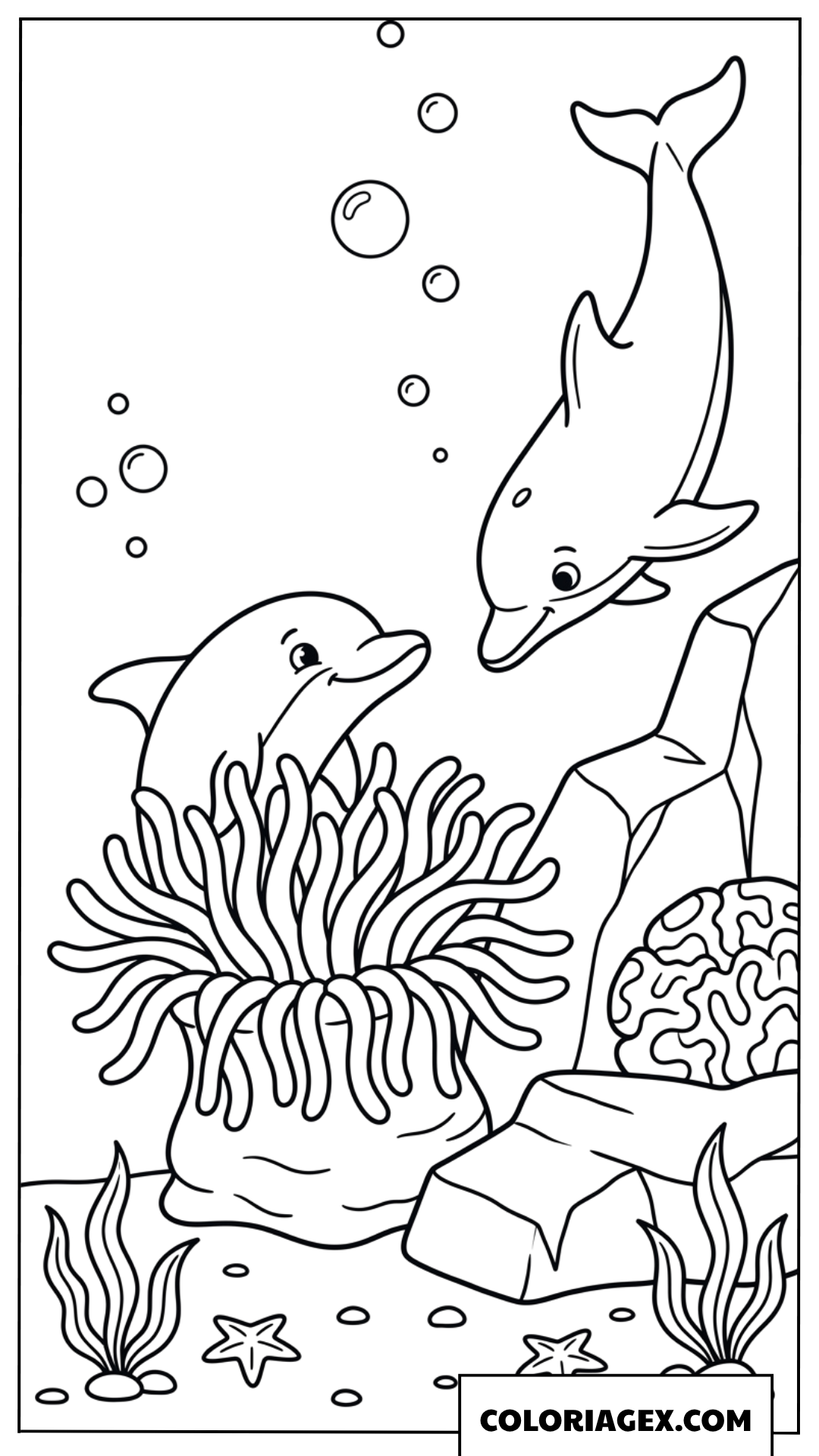 Coloriage de deux dauphins jouant a cache cache pres du recif