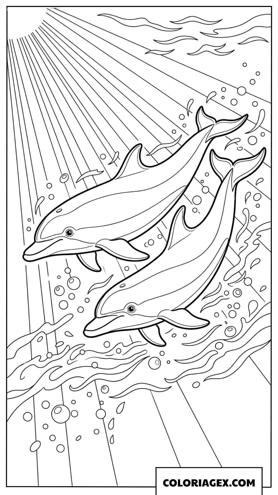 Coloriage de deux dauphins nageant en tandem sous le soleil