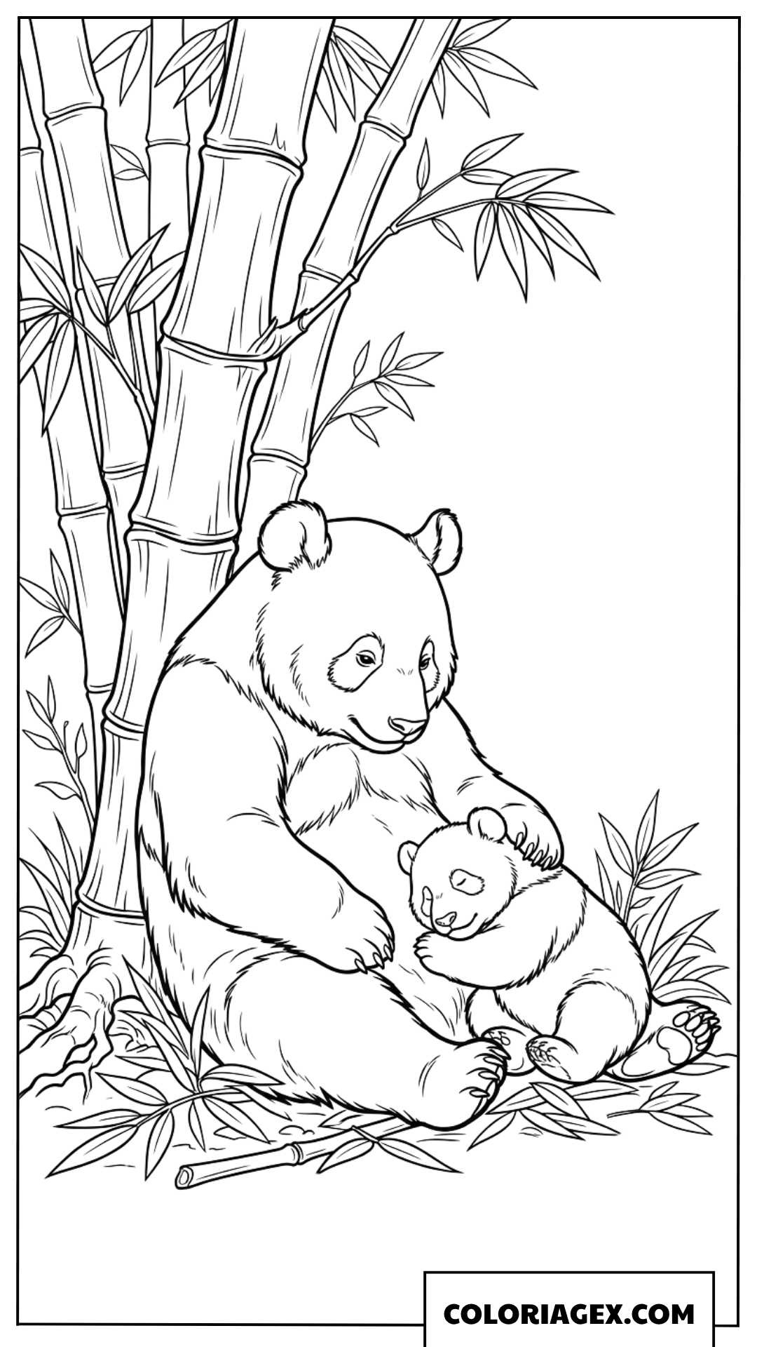 Coloriage de la maman panda et son bebe se reposant au calme