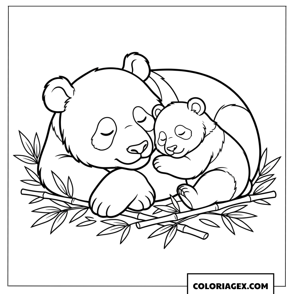 Coloriage de maman panda et son bebe endormis sur des bambous