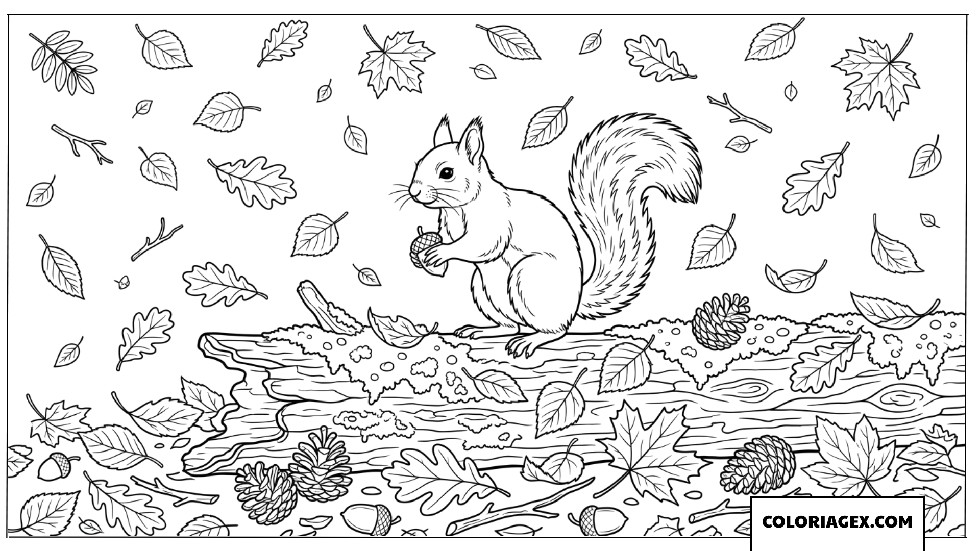 Coloriage de petit ecureuil sur une branche moussue en automne