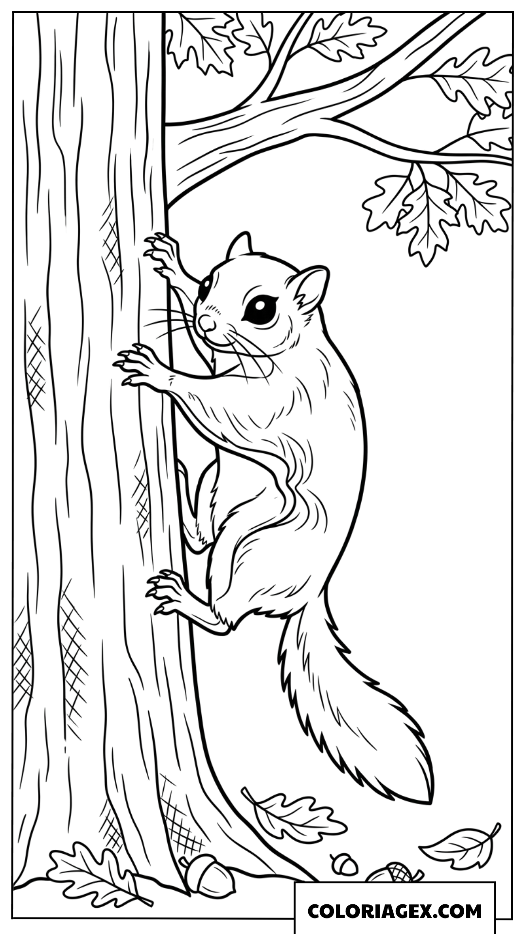 Coloriage de petit ecureuil volant accroche au tronc
