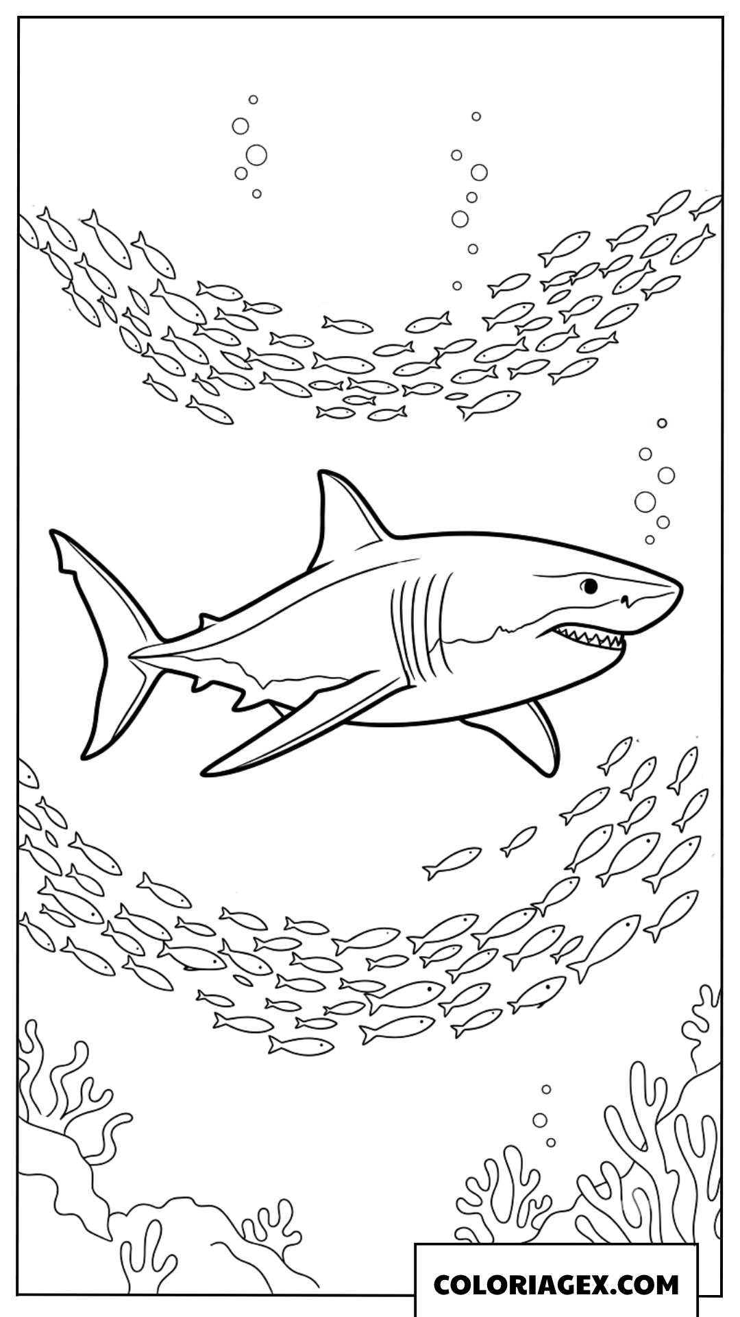 Coloriage de requin nageant avec un banc de poissons