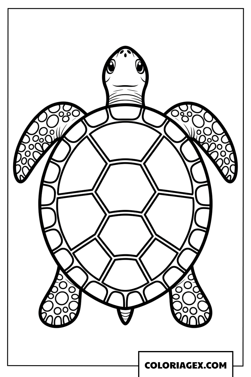 Coloriage de tortue zen avec un contour simple