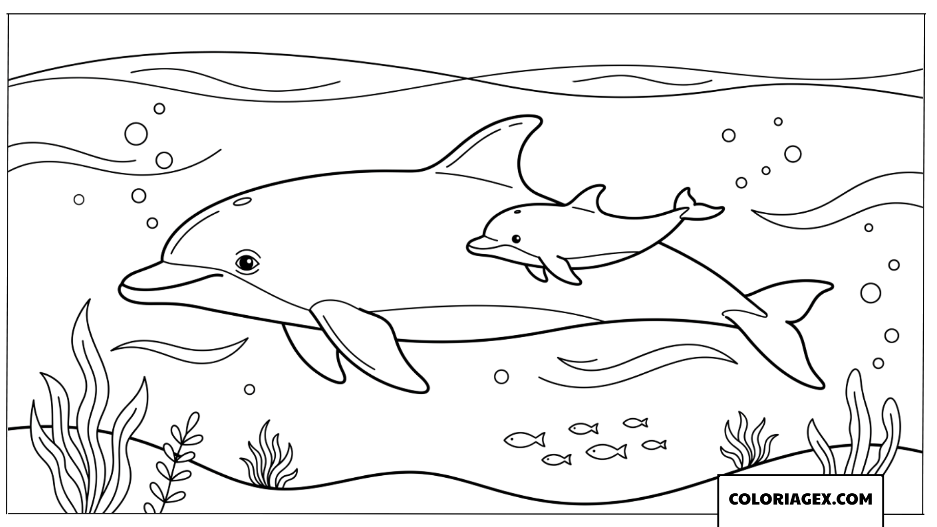 Coloriage d'un bebe dauphin nageant aux cotes de sa maman